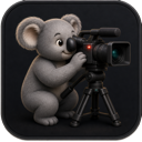 Koala operating a video camera
